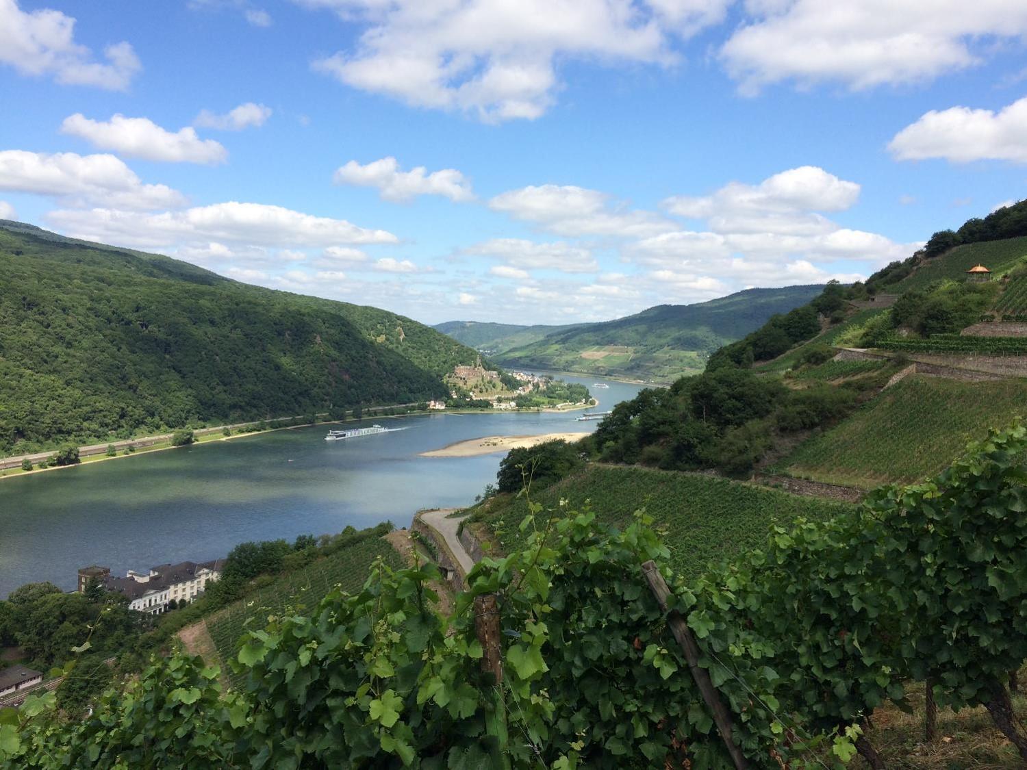 Winzerhof Ross & Rose Hotel Trechtingshausen Bagian luar foto