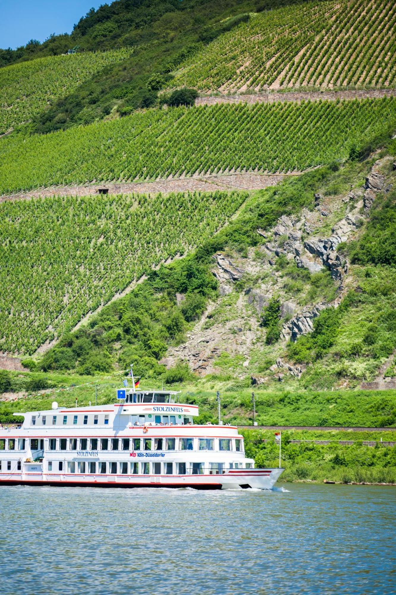 Winzerhof Ross & Rose Hotel Trechtingshausen Bagian luar foto